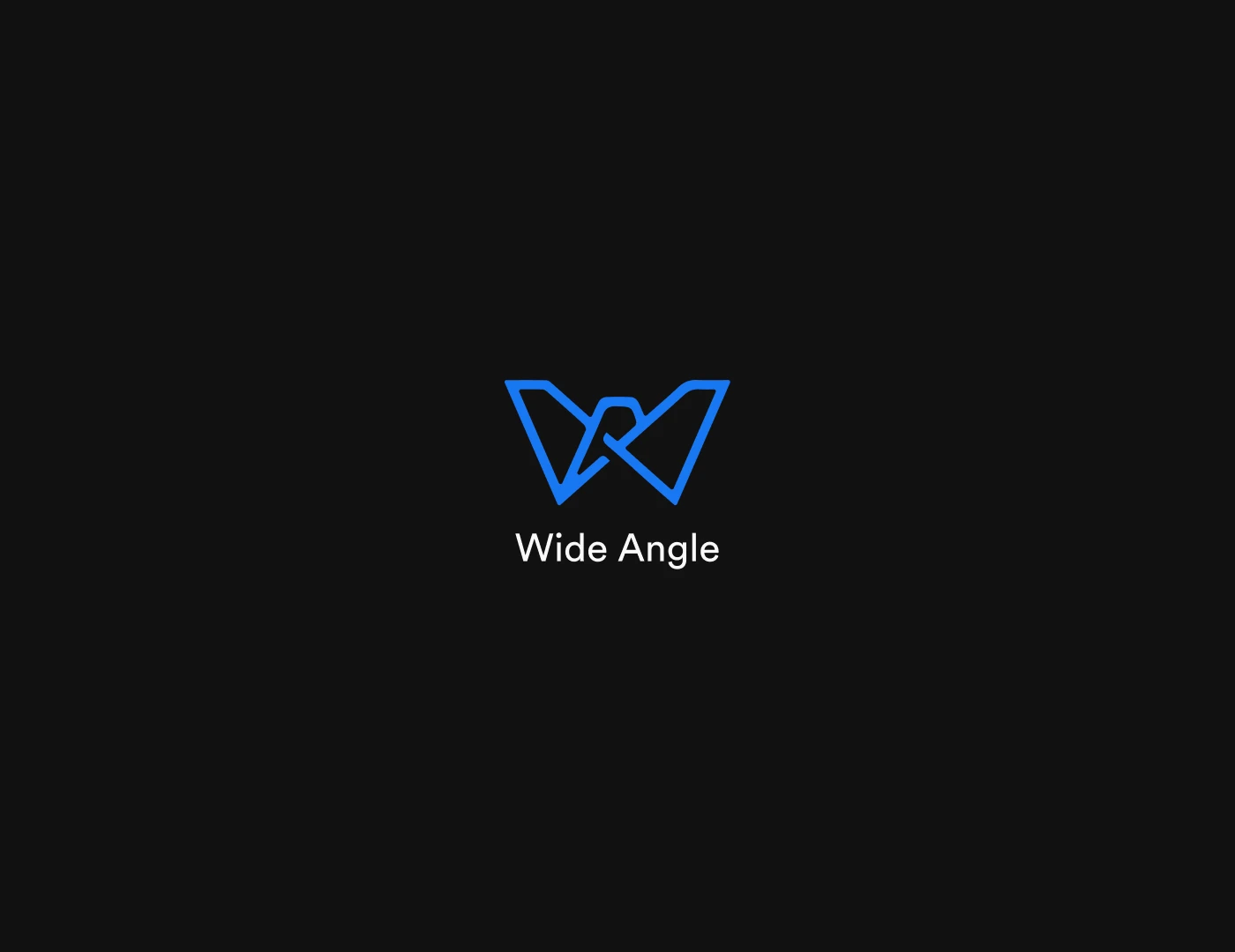 Wide Angle logo identity presentation